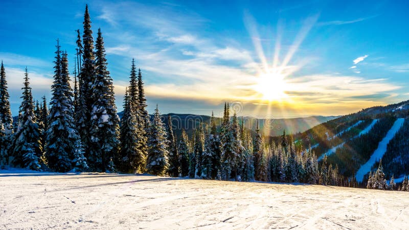 Sunset over the Snow covered trees in the winter landscape of the high alpine at the ski resort of Sun Peaks in the Shuswap Highlands of central British Columbia, Canada