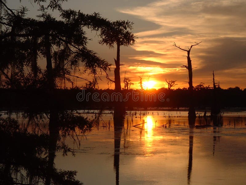 Último rayos de brillante atardecer través de El gran pantano.