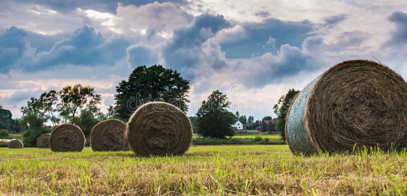 Sunset over the Swedish landscape with rolled grass in the fields that the farmers work with during the month of July