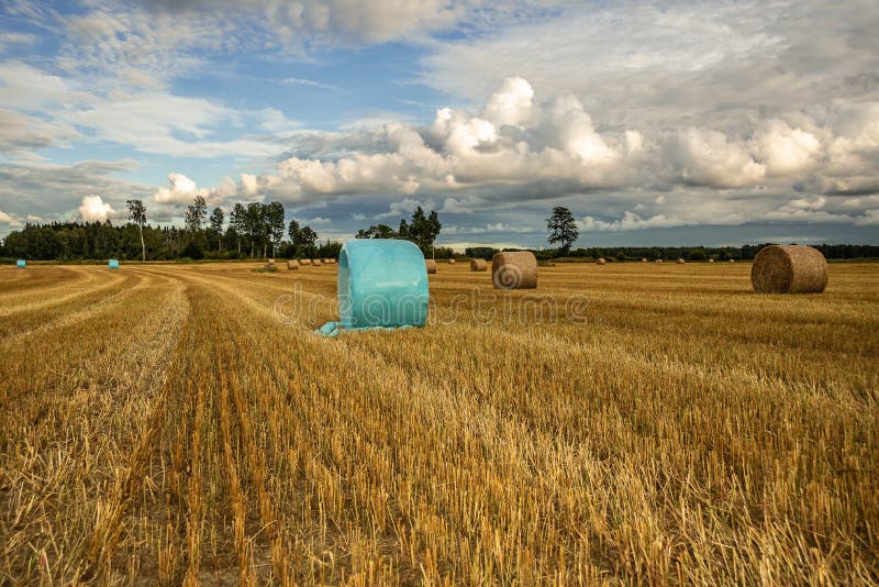 Sunset over the Swedish landscape with rolled grass in the fields