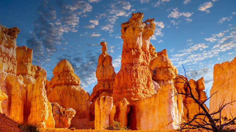 Sunset over the vermilion colored Hoodoos on the Queen`s Garden Trail in Bryce Canyon