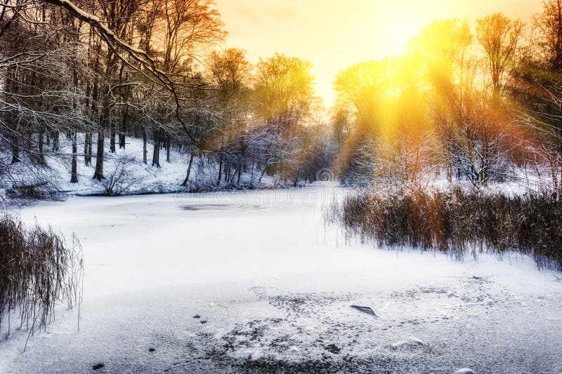 Sunset over winter forest lake royalty free stock photography Sunset over winter forest lake royalty free stock photography