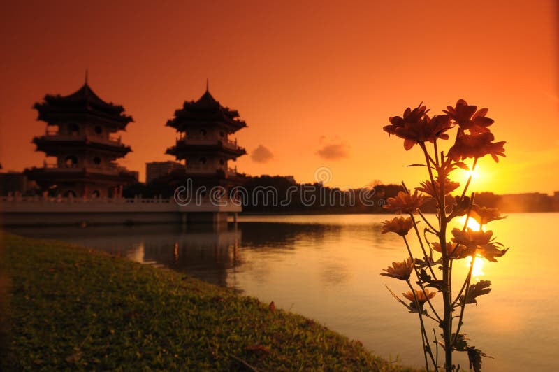 Sunset, pagoda and flower in the park