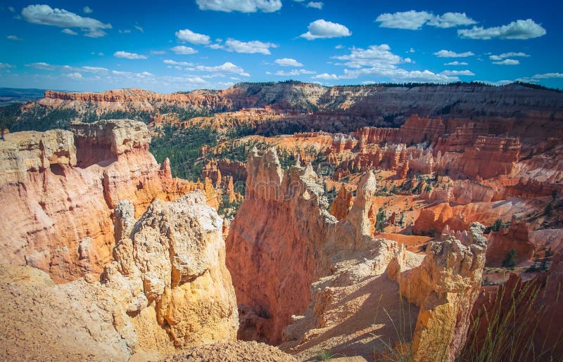 Sunset point hoodoos in bryce