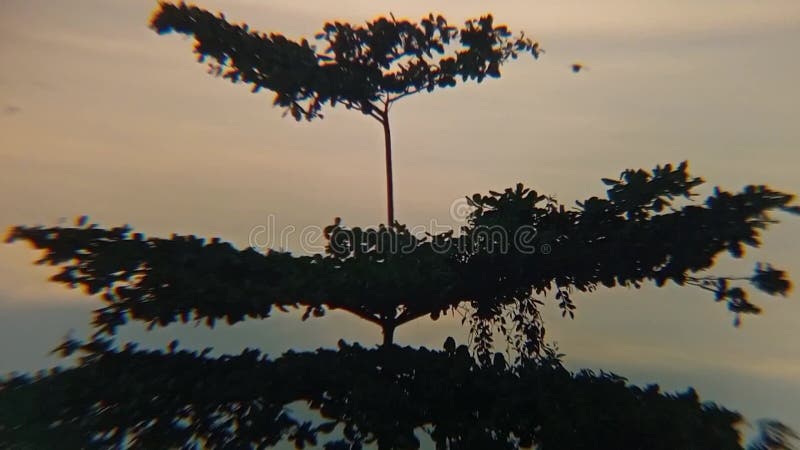 Sunset Reddish sky beautiful scenery dusk mist golden time dramatic sky stock footage