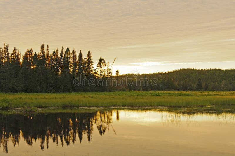 Sunset reflections on a remote pond royalty free stock photography