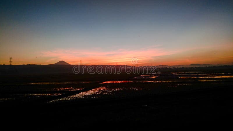 Sunset in ricefield with orange and blue sky and Slamet montain in Central Java