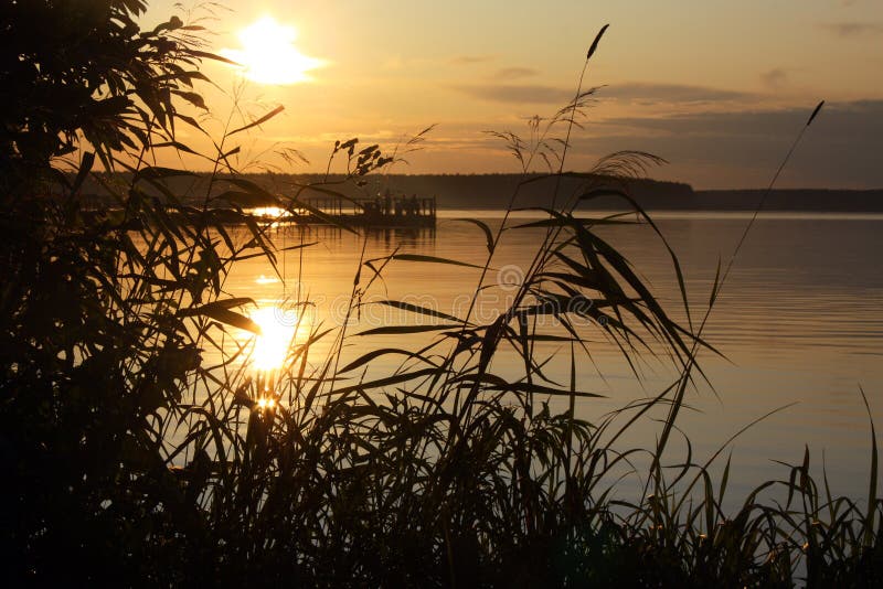 Sunset river horizon silhouette branch landscape. River sunset horizon stock photo