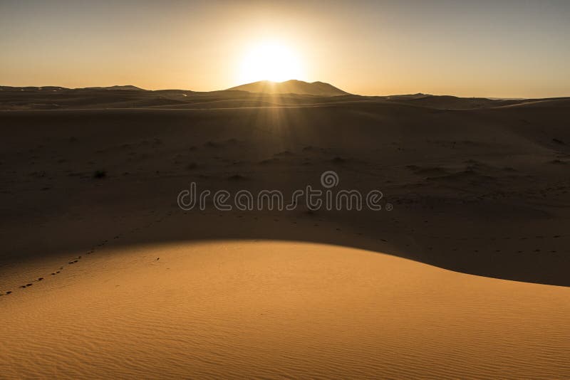 Camel Caravan in Sahara Desert Stock Image - Image of sunrise, berber ...