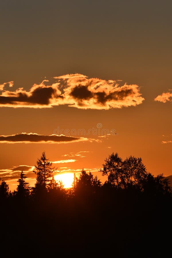 Sunset silhouette stock image. Image of landscape, dusk 92151621