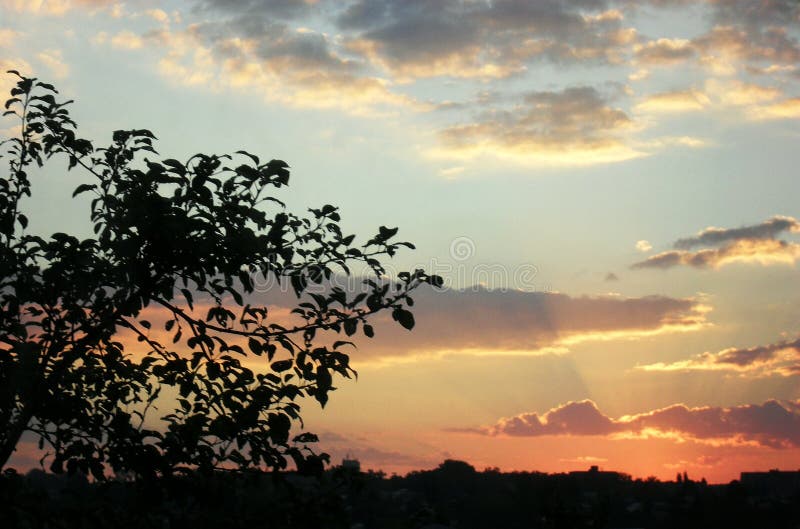 Sunset Sky. Beautiful Sky. Clouds Stock Photo - Image of sunset, scene:  146726596