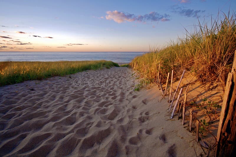 Race Point Beach Path at Provincetown, Cape Cod