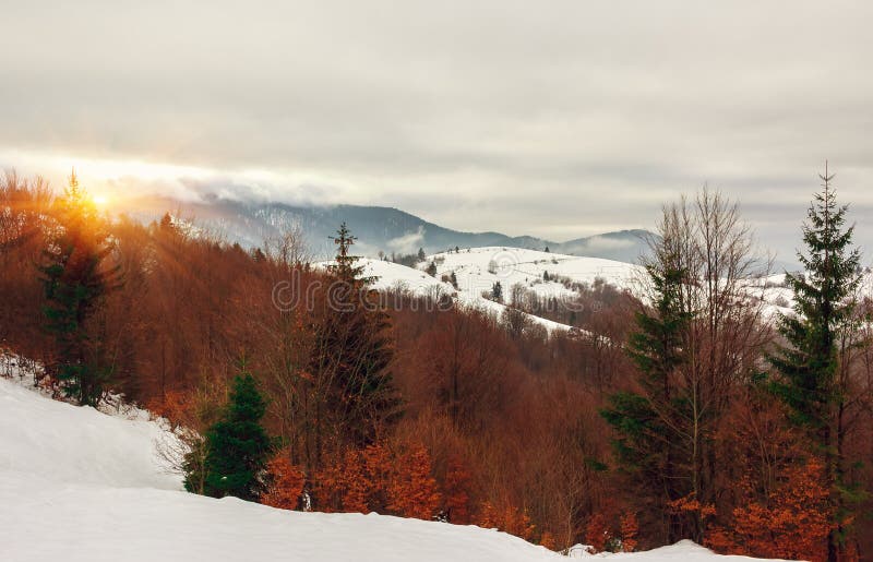 Sunset in the snowy mountains of the forest. winter landscape