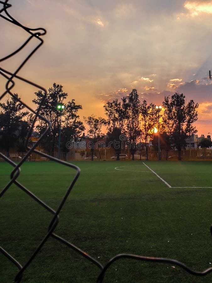 The Sunset on a Soccer Field Stock Photo Image of soccer, trees