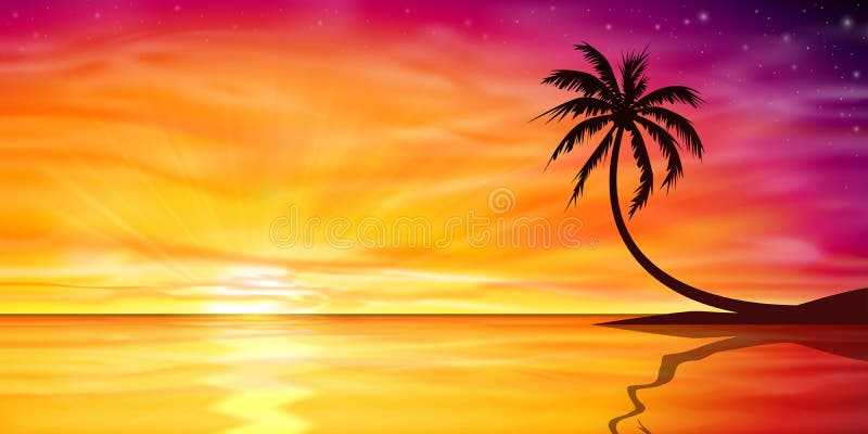 Sunset, Sunrise with Palm Tree stock illustration