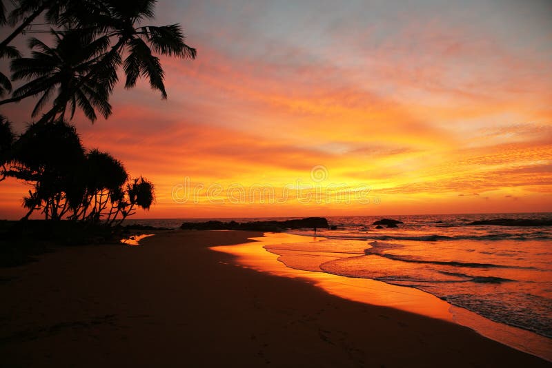 Sunset time stock image. Image of oasis, orange, fiery - 7799587