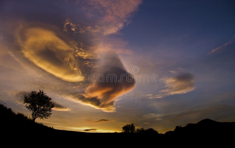 Sunset and tree