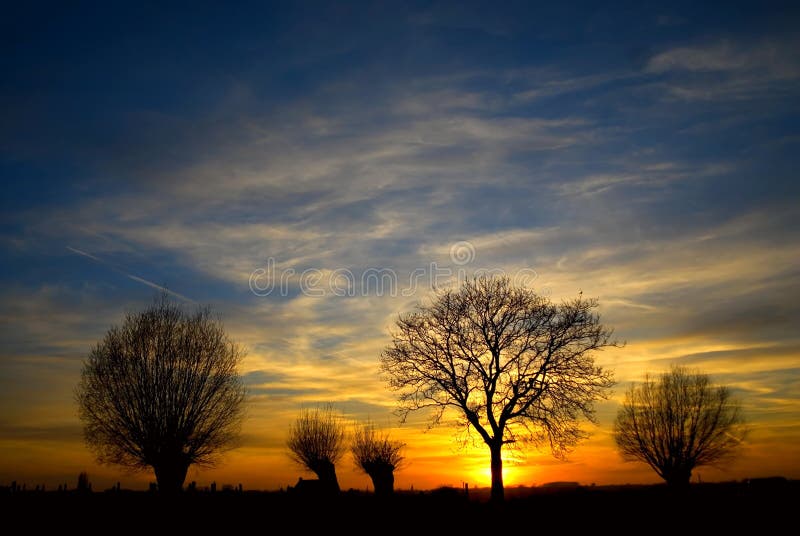 Sunset with trees