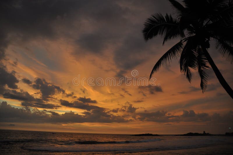 Sunset on tropical beach with palm tree