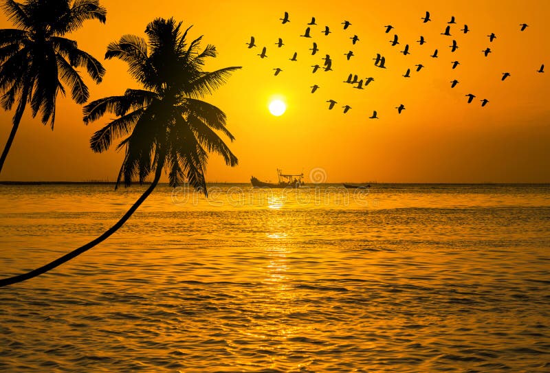 Sunset on tropical beach with silhouette waterbird flying