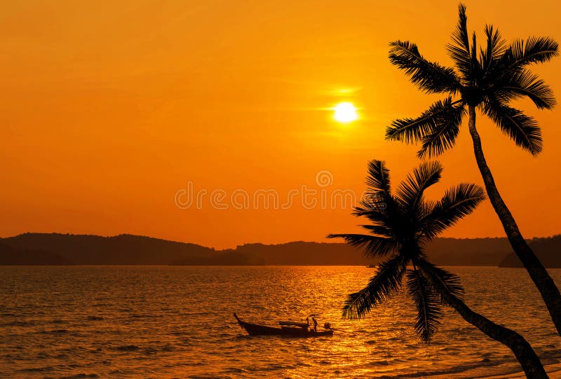 Sunset on tropical beach with silhoutte coconut palm trees and silhoutte fisherman boat