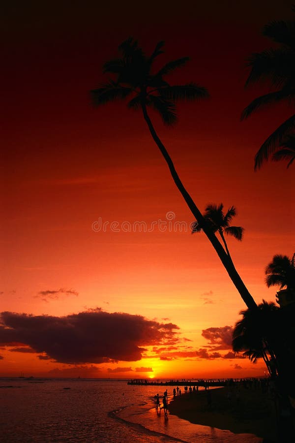 Sunset in tropics