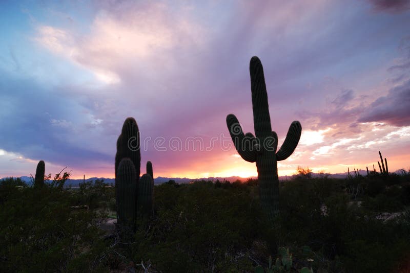Sunset in Tucson stock photo. Image of tucson, desert 6385036
