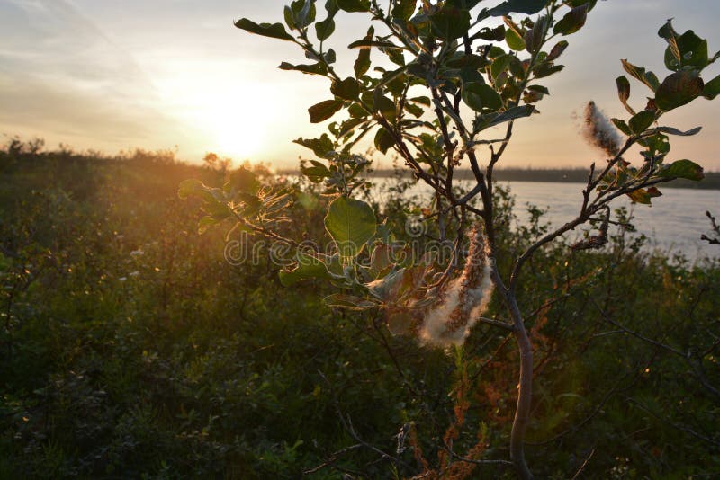 Sunset on the tundra river. royalty free stock photos Sunset on the tundra river. royalty free stock photos