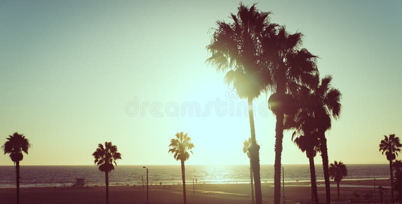 Sunset view with palms in Santa monica, California royalty free stock photography Sunset view with palms in Santa monica, California royalty free stock photography