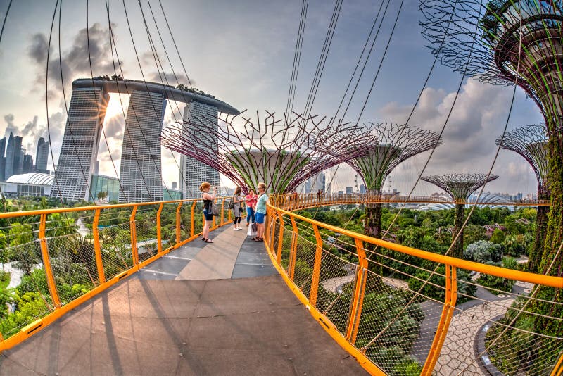 Sunset View of Supertree Grove at Gardens by the Bay