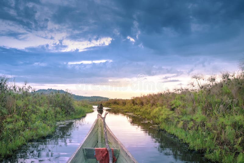 Sunset view whilst  looking for Shoebill storks Balaeniceps rex bird in Mabamba Swamp from a little wooden fishing boat