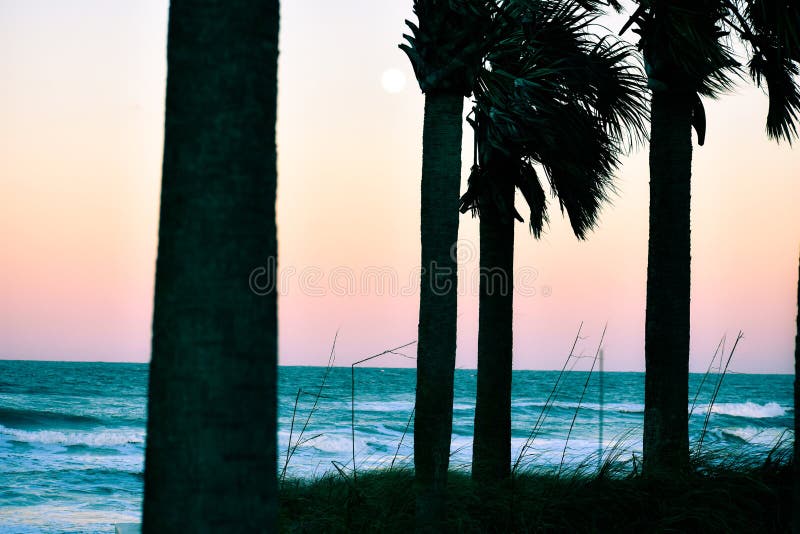 Sunsets and Palm Trees at Dusk Along the Coast of Florida Beaches in Ponce Inlet and Ormond Beach, Florida