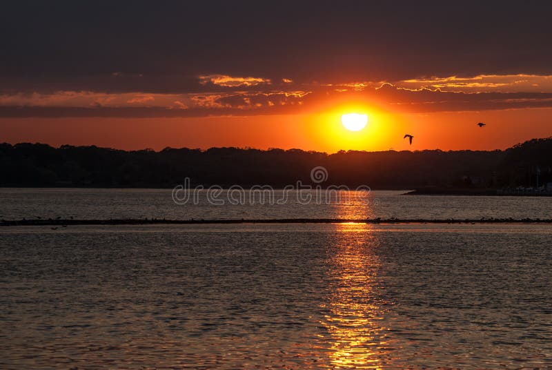 Shark River Sunset