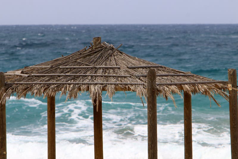 Sunshade by the sea stock photo. Image of sunshade, israel 116197574