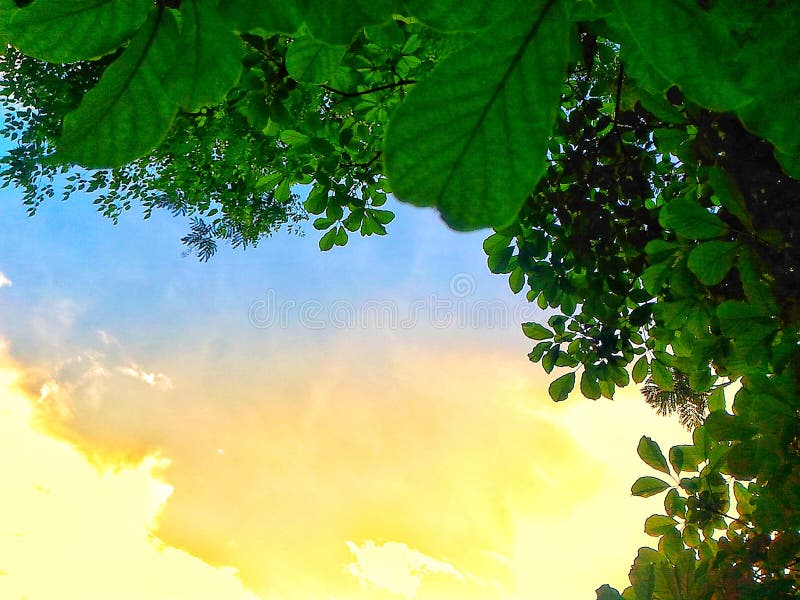  sunshine imagens de stock royalty free