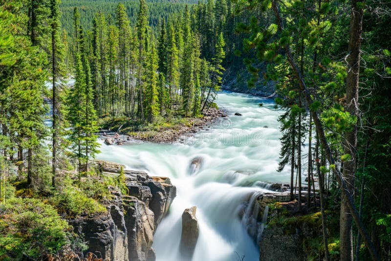 Sunwapta Falls, Jasper National Park lizenzfreie stockbilder Sunwapta Falls, Jasper National Park lizenzfreie stockbilder