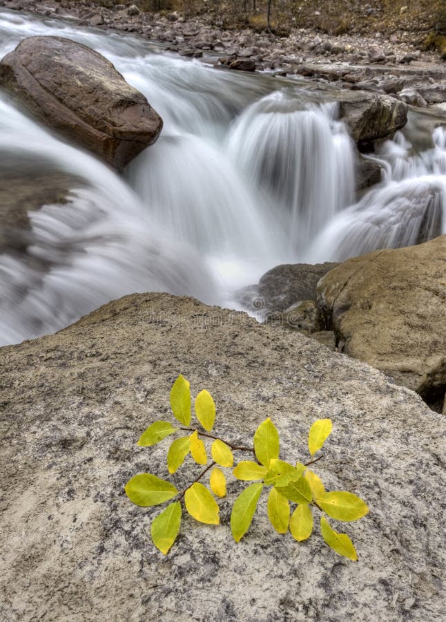 Sunwapta Wasserfall Alberta Kanada lizenzfreie stockfotografie Sunwapta Wasserfall Alberta Kanada lizenzfreie stockfotografie