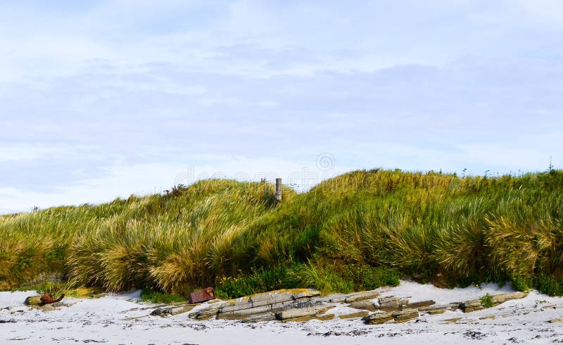 Super doce litoral imagem de stock royalty free