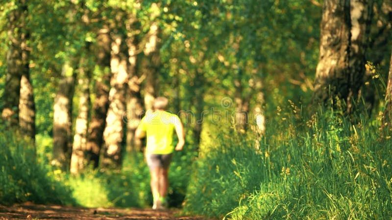 Defocused male athletic runner running in the forest