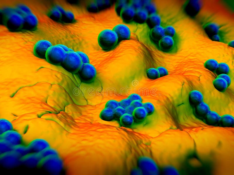 Superbug bacteria stock illustration. Illustration of drug - 77284662