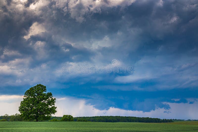 Supercell Storm Clouds with Wall Cloud and Intense Rain Stock Image