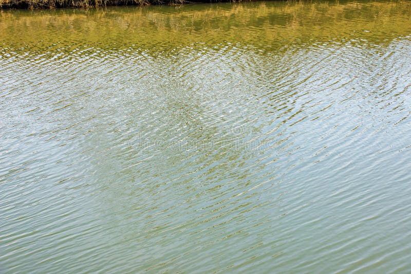 Superficie de agua al atardecer ondas de calma y cierre de ríos o océanos. Fondo natural. Textura de fondo abstracta imagen de archivo