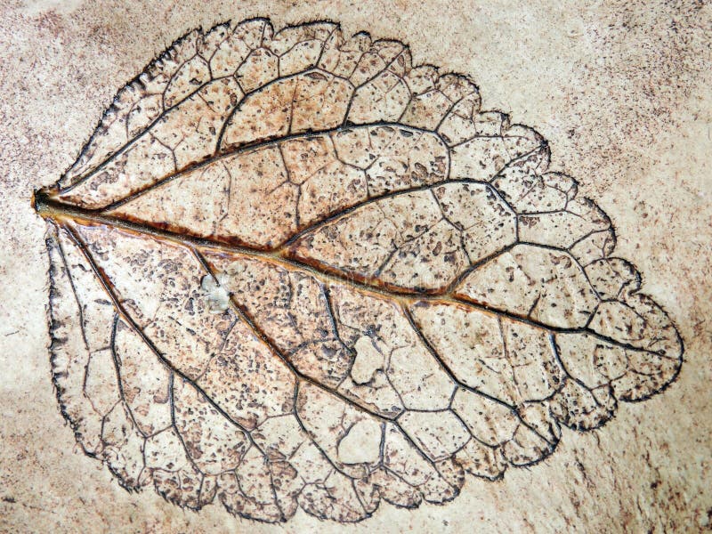 Superficie de la cerámica con la hoja pintada imagenes de archivo Superficie de la cerámica con la hoja pintada imagenes de archivo