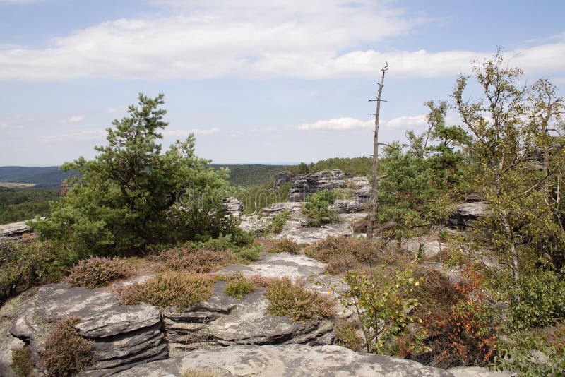 Superficie della pietra della roccia sulla cima della montagna immagine stock libera da diritti Superficie della pietra della roccia sulla cima della montagna immagine stock libera da diritti
