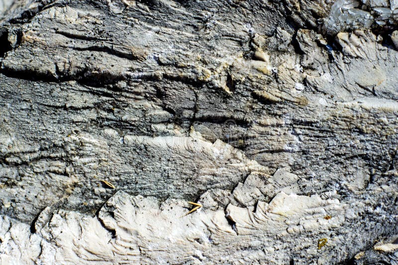 Superfície rochosa fotografia de stock royalty free