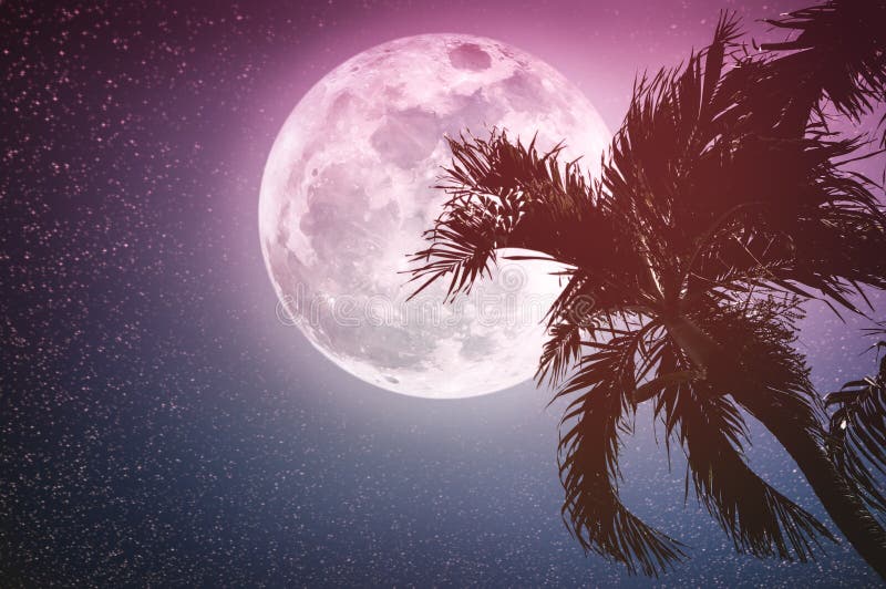 Supermoon με πολλά αστέρια Όμορφο τοπίο νύχτας του ουρανού με τη πανσέληνο πίσω από betel το φοίνικα, υπαίθριο ο χρόνος απεικόνιση αποθεμάτων Supermoon με πολλά αστέρια Όμορφο τοπίο νύχτας του ουρανού με τη πανσέληνο πίσω από betel το φοίνικα, υπαίθριο ο χρόνος απεικόνιση αποθεμάτων