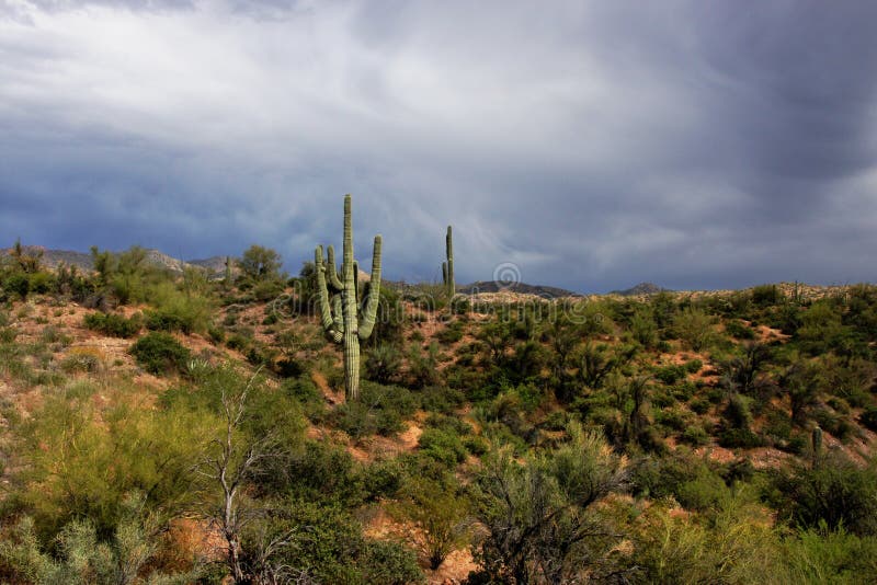 Superstition Mountains