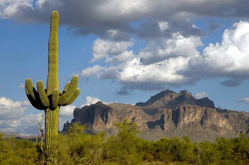 Superstition Mts.1