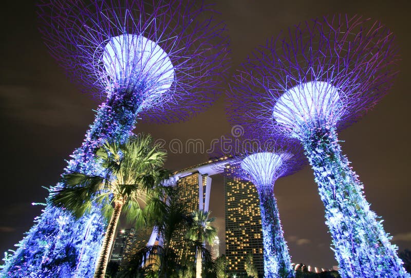 Supertree garden at night, garden by the bay. royalty free stock image Supertree garden at night, garden by the bay. royalty free stock image