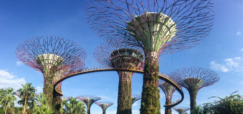 Supertrees at the Garden by the Bay in Singapore stock image Supertrees at the Garden by the Bay in Singapore stock image